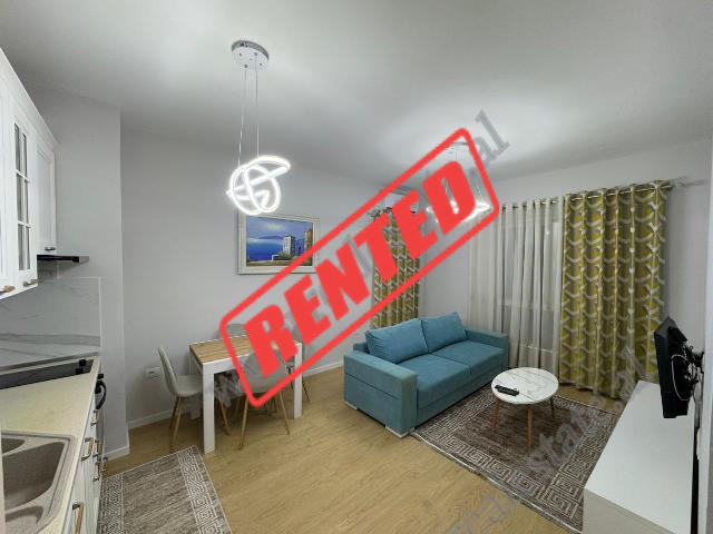 Apartament 1+1 me qira ne rrugen Odhise Paskali prane rruges Bardhyl ne Tirane.
Pozicionohet ne kat